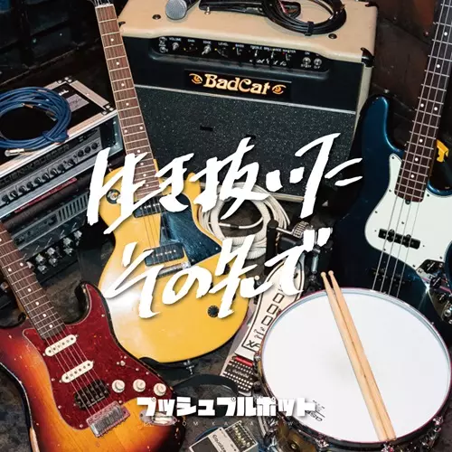 プッシュプルポット商品一覧｜JAPANESE ROCK・POPS / INDIES｜ディスク
