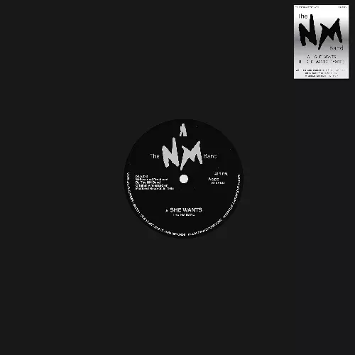 NM BAND / SHE WANTS (12")