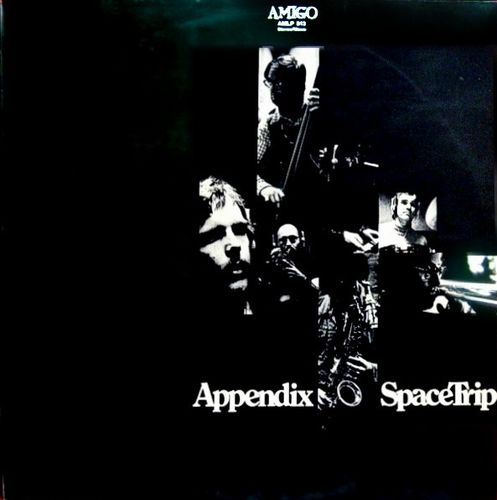 APPENDIX(JAZZ) / Space Trip(LP)