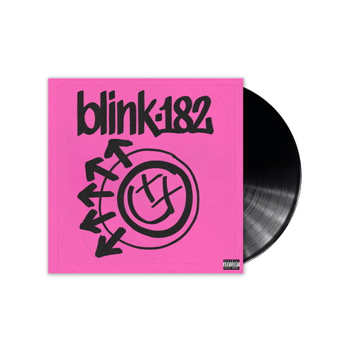 BLINK 182 / ブリンク 182 / ONE MORE TIME... (VINYL)