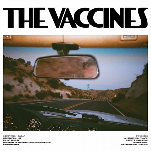 VACCINES / ヴァクシーンズ / PICK-UP FULL OF PINK CARNATIONS (CD)