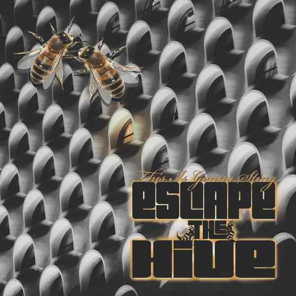 ESCAPE THE HIVE / THIS IS GONNA STING