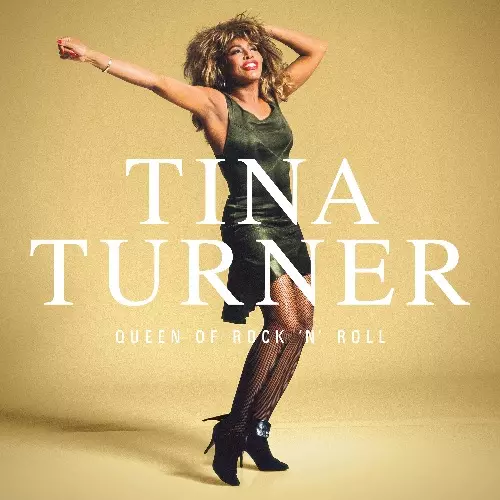 LIVE TOKYO 1985/TINA TURNER/ティナ・ターナー/TINA TURNERが1985