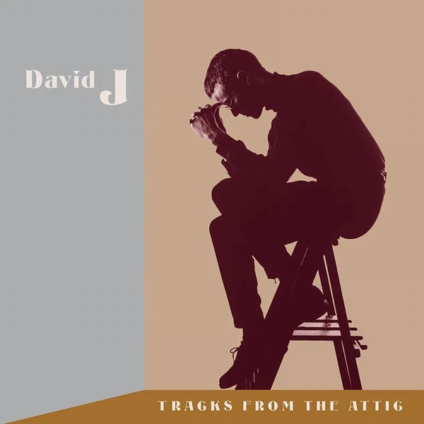 DAVID J / デヴィッドJ / TRACKS FROM THE ATTIC [3LP] (RED VINYL, LIMITED, INDIE-EXCLUSIVE)