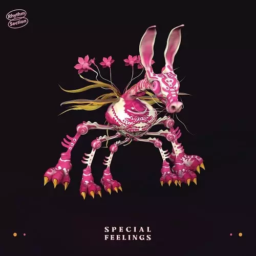 SPECIAL FEELINGS / スペシャル・フィーリングス / SPECIAL FEELINGS (LP)
