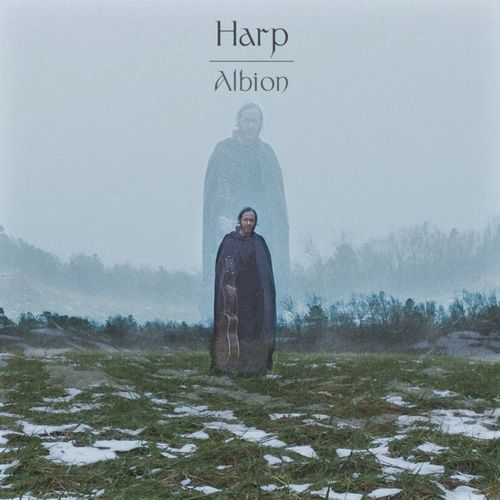 HARP (US INDIE) / ALBION [VINYL]