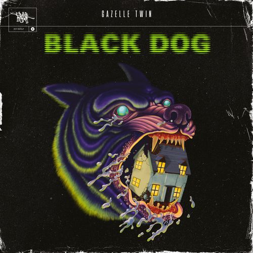 GAZELLE TWIN / BLACK DOG [CD]