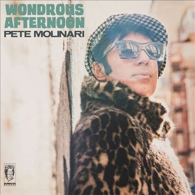 PETE MOLINARI / WONDROUS AFTERNOON (VINYL)