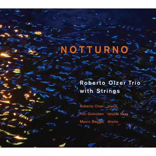 ROBERTO OLZER / ロベルト・オルサー / Notturno (2LP)