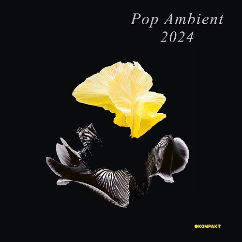 V.A.(POP AMBIENT) / POP AMBIENT 2024 (CD)