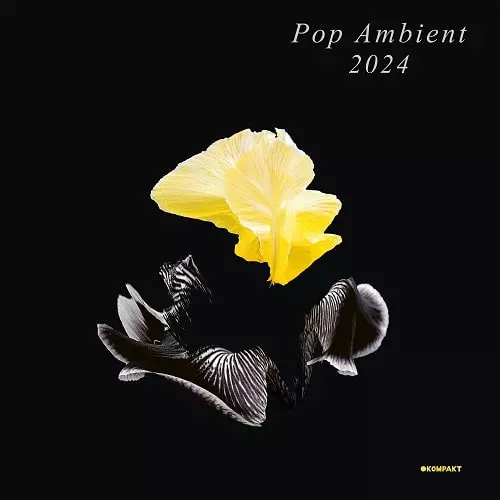 Pop Ambientシリーズ 9枚セット　ポップ・アンビエント　KOMPAKT V.A.(POP AMBIENT)商品一覧｜CLUB / DANCE｜ディスクユニオン