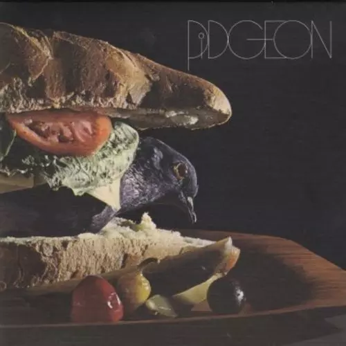 PIDGEON (PSYCHEDELIC ROCK) / ピジョン (紙ジャケット)