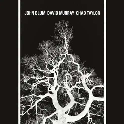 JOHN BLUM / ジョン・ブルーム / Recursive Tree