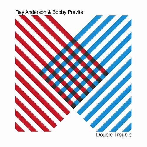 RAY ANDERSON & BOBBY PREVITE / Double Trouble