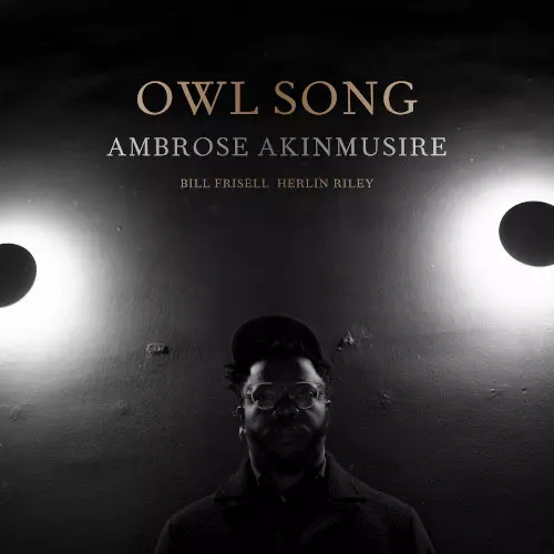 AMBROSE AKINMUSIRE / アンブローズ・アキンムシーレ / Owl Song(LP)