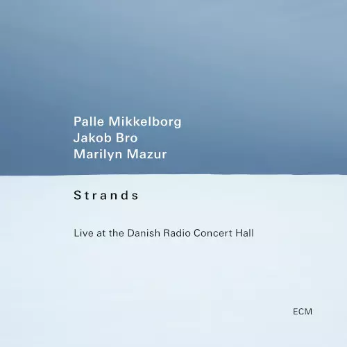 PALLE MIKKELBORG / パレ・ミッケルボルグ / Strands Live at the Danish Radio Concert Hall