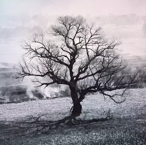 TAIGA YAMAZAKI / 山崎怠雅 / DAREKA NO NAMAE / 誰かの名前