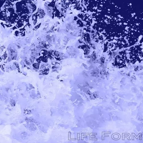 LIFE FORM / COME DOWN / SUMMER'S CHILD