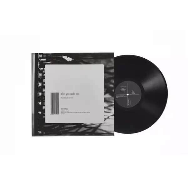 Pay money to my pain レコード 4枚 Pay money To my Pain｜オリジナルアルバム4作品がアナログ化し