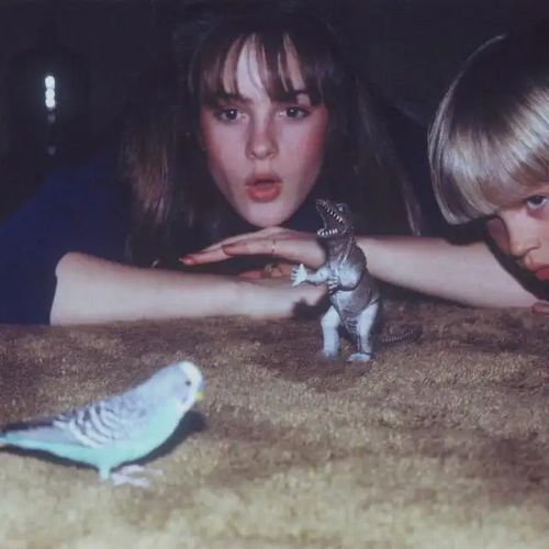 BIG THIEF / ビッグ・シーフ商品一覧｜OLD ROCK｜ディスクユニオン 