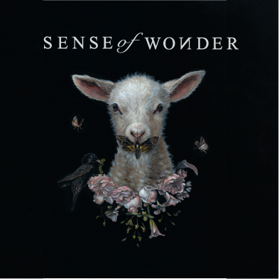 SENSE of WONDER / Sense of Wonder