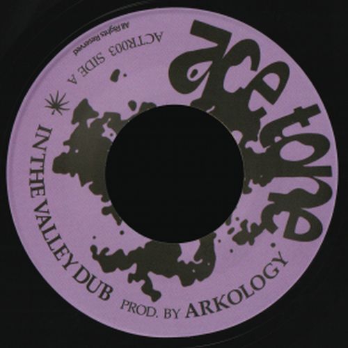 ARKOLOGY / INTO THE VALLEY DUB