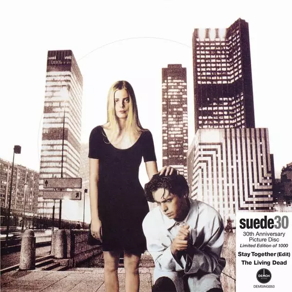 SUEDE / スウェード / STAY TOGETHER (30TH ANNIVERSARY EDITION) PICTURE DISC