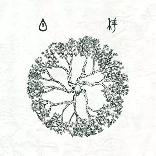 teresahenn / ryokism / 白樺