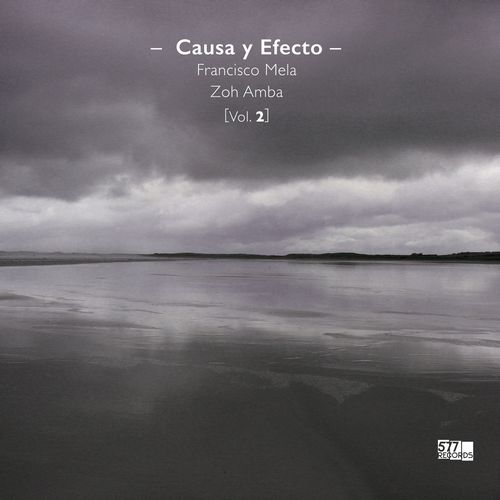 FRANCISCO MELA & ZOH AMBA / フランシスコメラ・アンド・ゾウ・アンバ / Causa y Efecto, Vol. 2(LP)