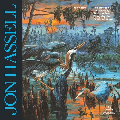 JON HASSELL / ジョン・ハッセル / THE SURGEON OF THE NIGHTSKY (LP)