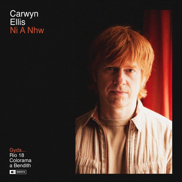 CARWYN ELLIS / カーウィン・エリス / CARWYN ELLIS / NI A NHW