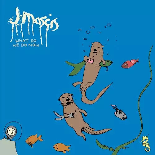 J MASCIS / ジェイ・マスキス / WHAT DO WE DO NOW (CASSETTE TAPE)