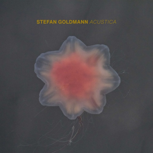 STEFAN GOLDMANN / ステファン・ゴールドマン / ACUSTICA (国内盤仕様CD)