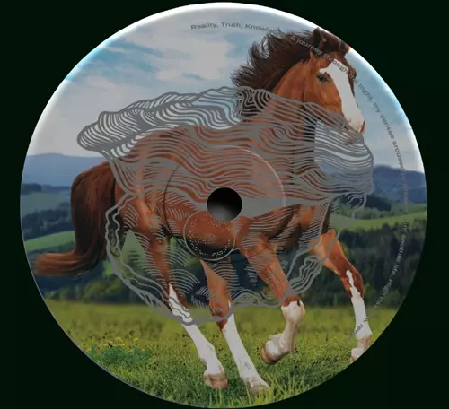 MAARA / HEAR ME NEIGH