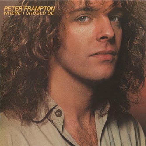 PETER FRAMPTON / ピーター・フランプトン / WHERE I SHOULD BE (CD)