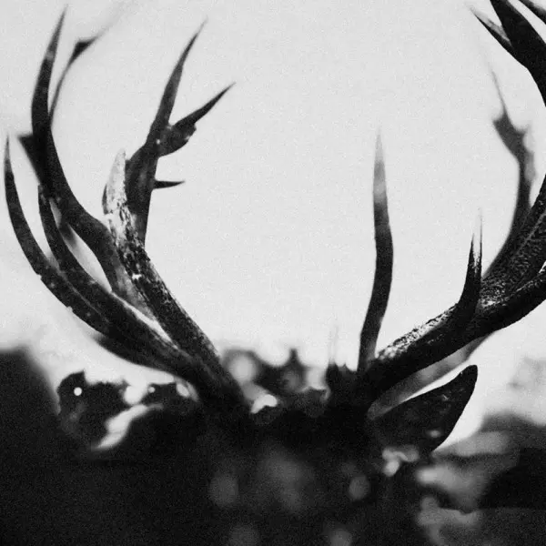 IHSAHN / イーサーン / IHSAHN / イーサーン(限定版)