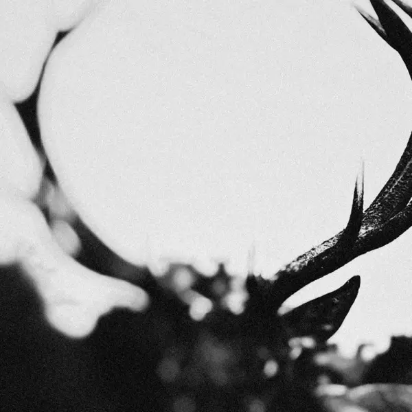 IHSAHN / イーサーン商品一覧｜PUNK｜ディスクユニオン・オンライン