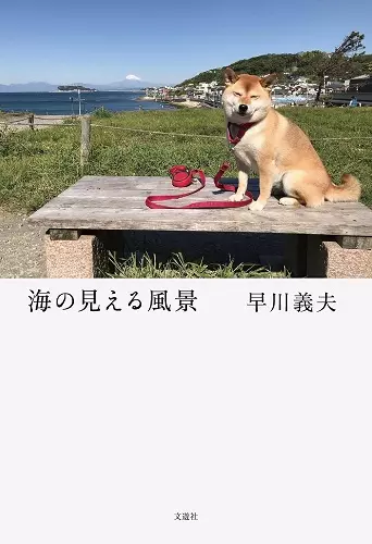 YOSHIO HAYAKAWA / 早川義夫 / 海の見える風景