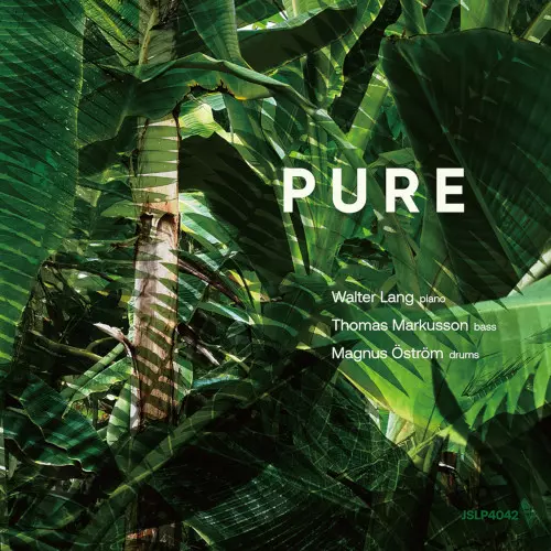 WALTER LANG / ウォルター・ラング / PURE(LP)