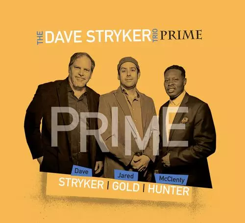 DAVE STRYKER / デイヴ・ストライカー / Prime(LP)