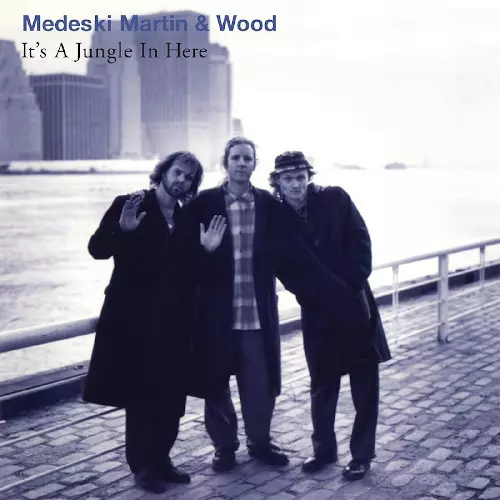 MEDESKI MARTIN & WOOD メデスキマーティン　レコード MEDESKI MARTIN & WOOD メデスキマーティン レコード