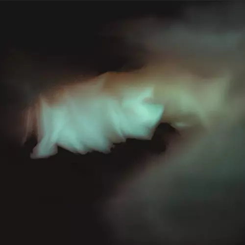 HUSKING BEE LIVE AT FEVER 2017/HUSKING BEE｜PUNK｜ディスク