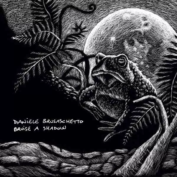 DANIELE BRUSASCHETTO / ダニエーレ・ブルザスケット / BRUISE A SHADOW / ブルーズ・ア・シャドウ<直輸入盤国内仕様>