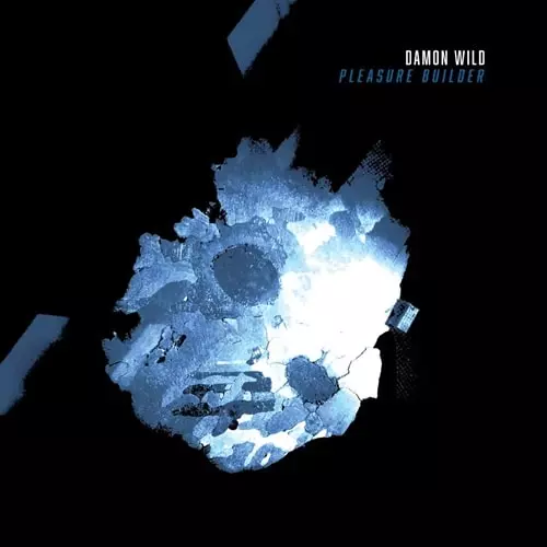 PLEASURE BUILDER LP (2x12