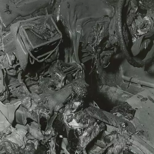 WHISPERING SONS / THE GREAT CALM (CD)