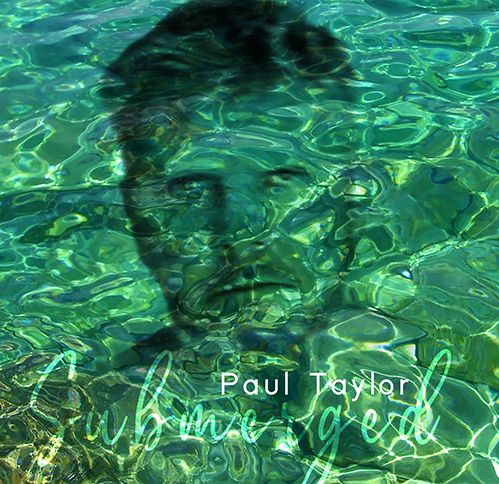 PAUL TAYLOR (NOISE / AVANT) / SUBMERGED (CD)