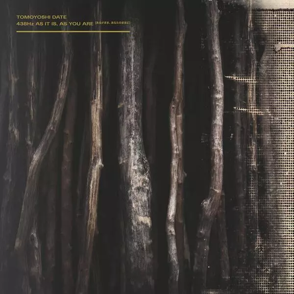 TOMOYOSHI DATE / 438HZ AS IT IS, AS YOU ARE (VINYL) / あるがまま、あなたのままに
