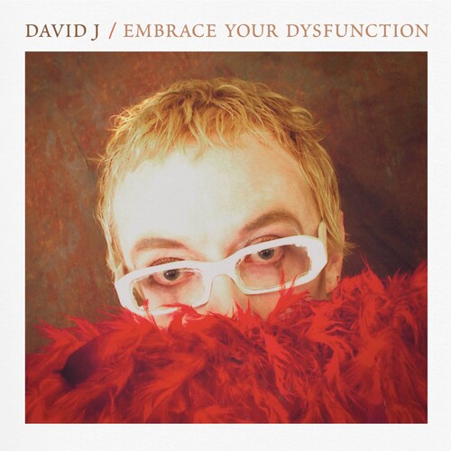 DAVID J / デヴィッドJ / EMBRACE YOUR DYSFUNCTION (CD)