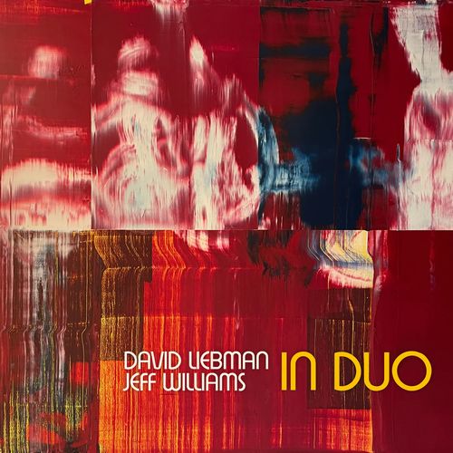 DAVE LIEBMAN (DAVID LIEBMAN) / デイヴ・リーブマン / In Duo(LP/180G)