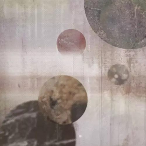 THISTLE SIFTER / CIRCLES